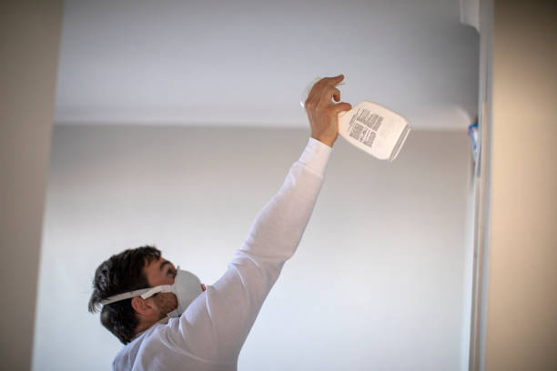 Best Residential Mold Removal  in Lindstrom, MN