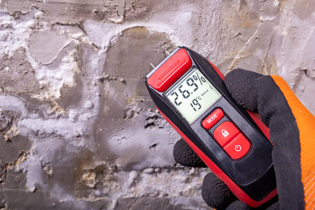Best Mold Testing  in Lindstrom, MN