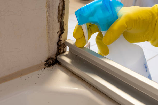 Crawl Space Mold Removal in Lindstrom, MN