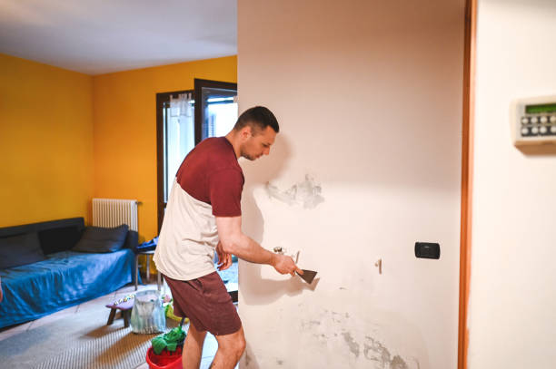 Home Mold Removal in Lindstrom, MN